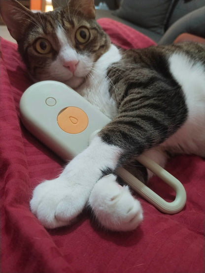 Spazolla a vapore per gatti